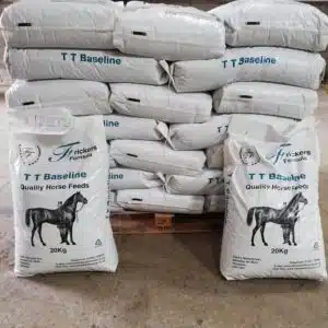 Frickers Formula TT Baseline